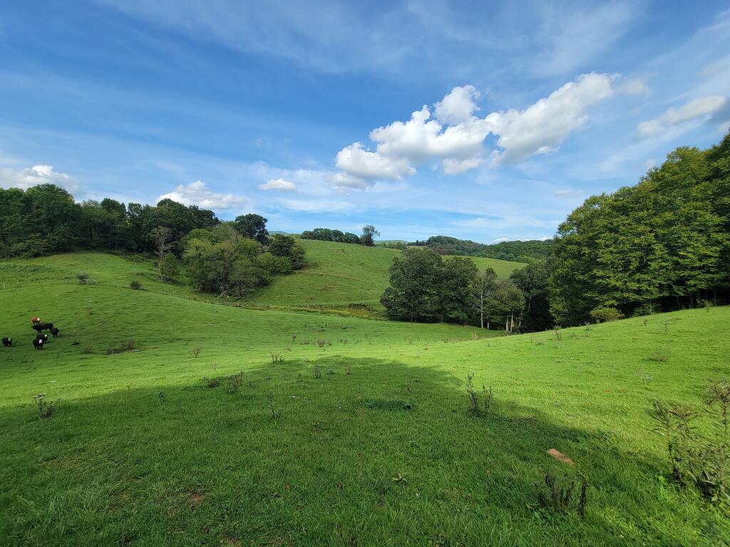 Photo of TBD Wilson Hwy #0, Independence, VA 24348 (MLS # 112378)