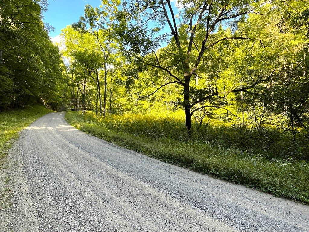 Photo of TBD Deepwater Road #0, Dugspur, VA 24325 (MLS # 103262)