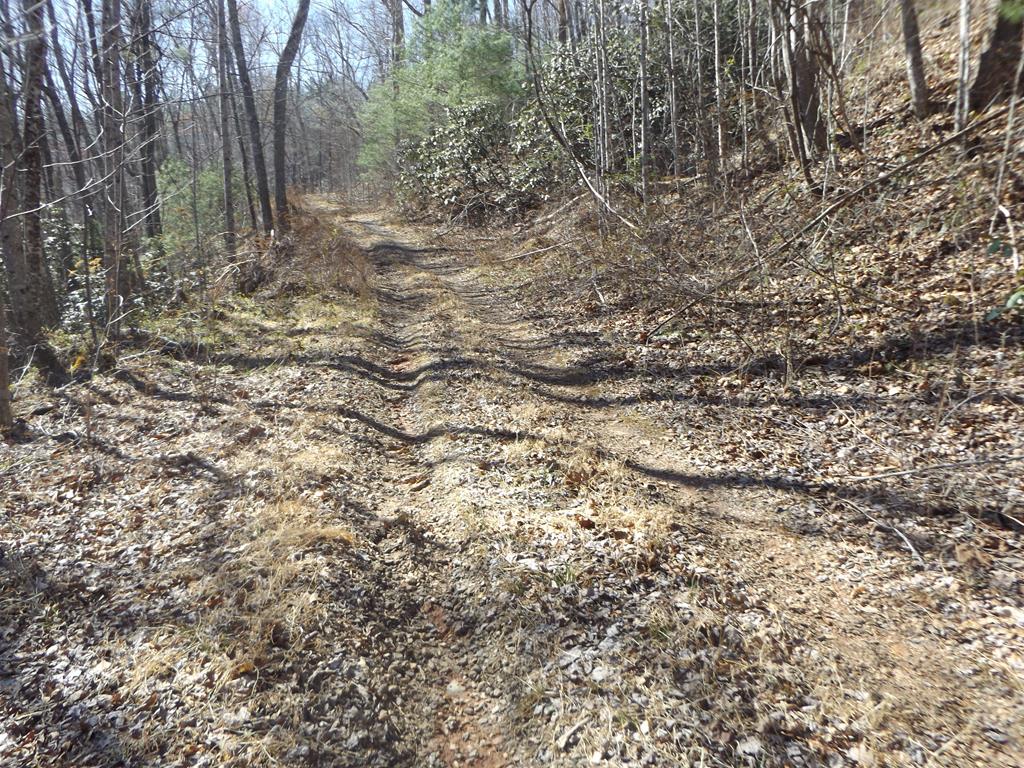 Photo of TBD Pole Bridge Rd #J,H,I,F,G, Stuart, VA 24171 (MLS # 109277)