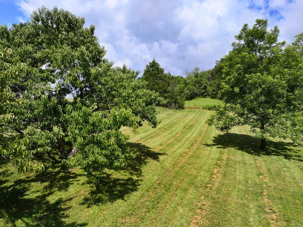 Photo of 29311 Poor Valley Road, Saltville, VA 24370 (MLS # 110977)