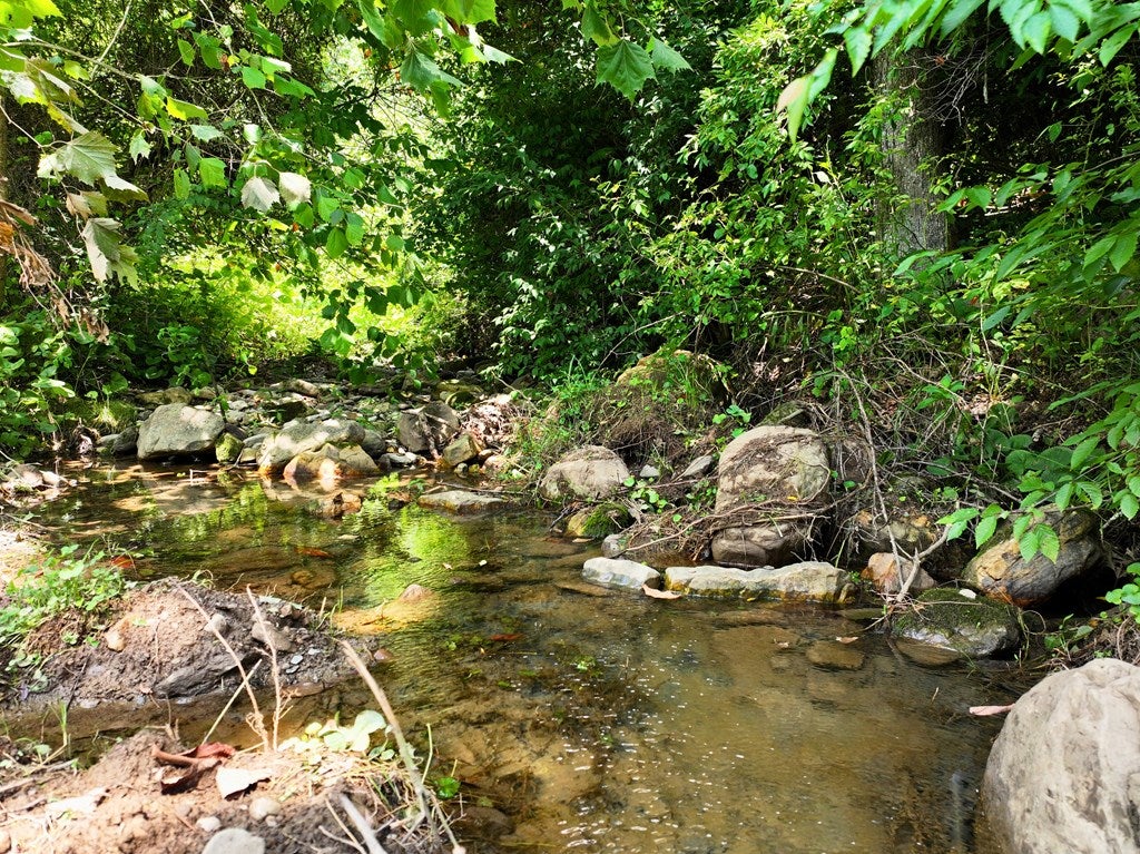 Photo of 29311 Poor Valley Road, Saltville, VA 24370 (MLS # 110977)