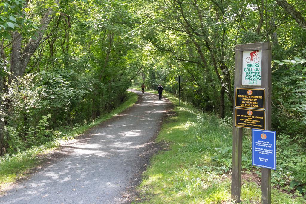 Abingdon, Virginia 24211, United States, 7 Bedrooms Bedrooms, ,7 BathroomsBathrooms,Residential,Active,109832