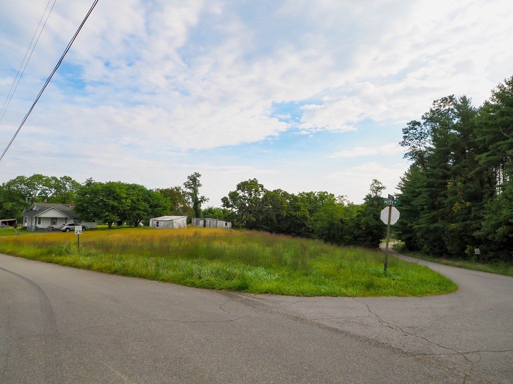 Photo of 163 Petty Rd, Galax, VA 24333 (MLS # 103320)