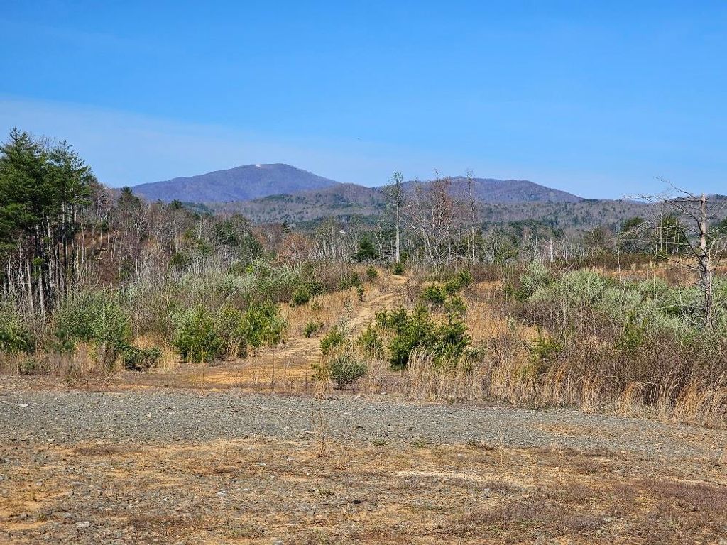 Photo of 3785 Beech Grove Ln #0, Galax, VA 24333 (MLS # 99398)