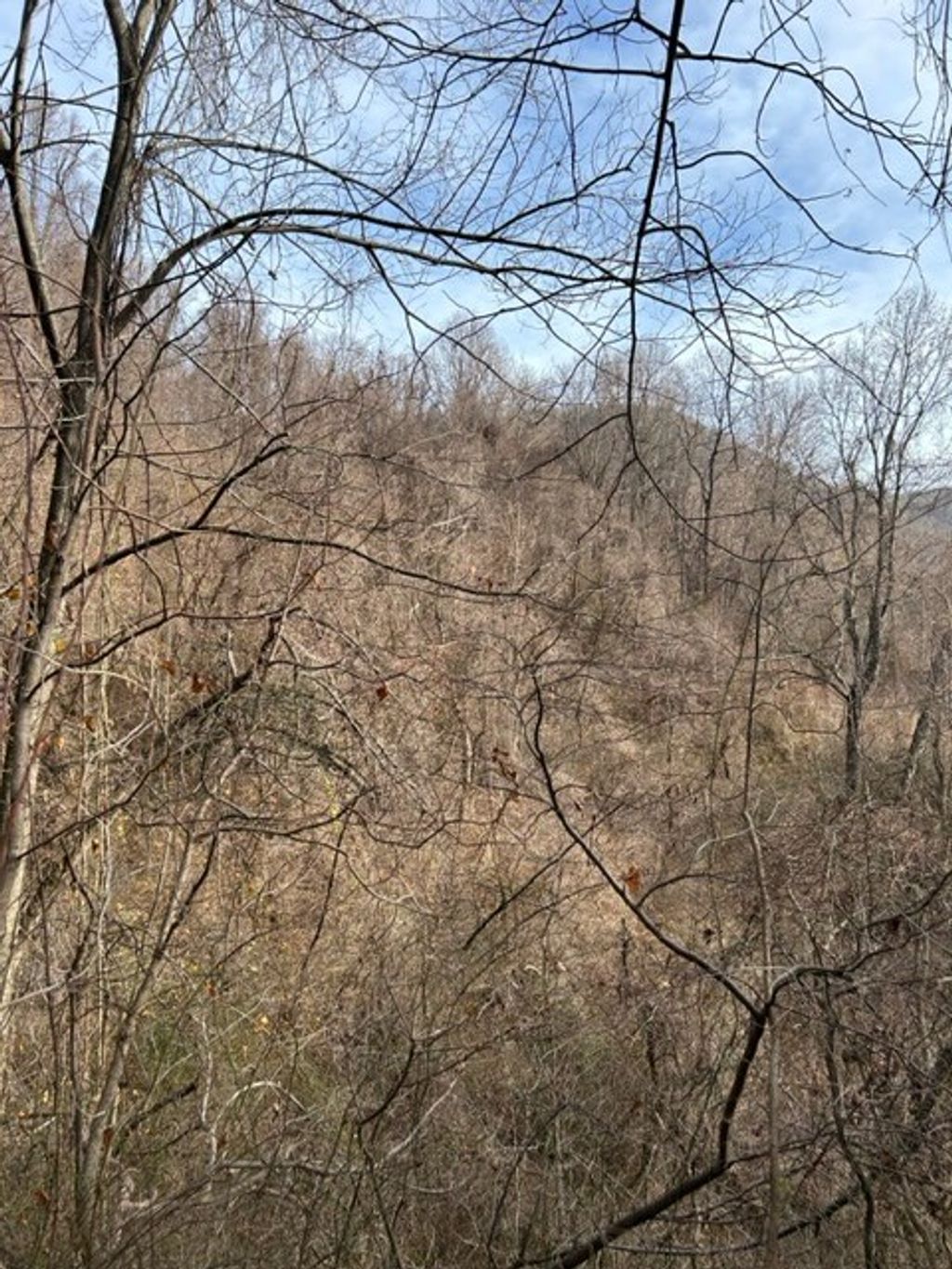 Photo of TBD Orchard Gap Rd #36-39, Fancy Gap, VA 24328 (MLS # 97769)