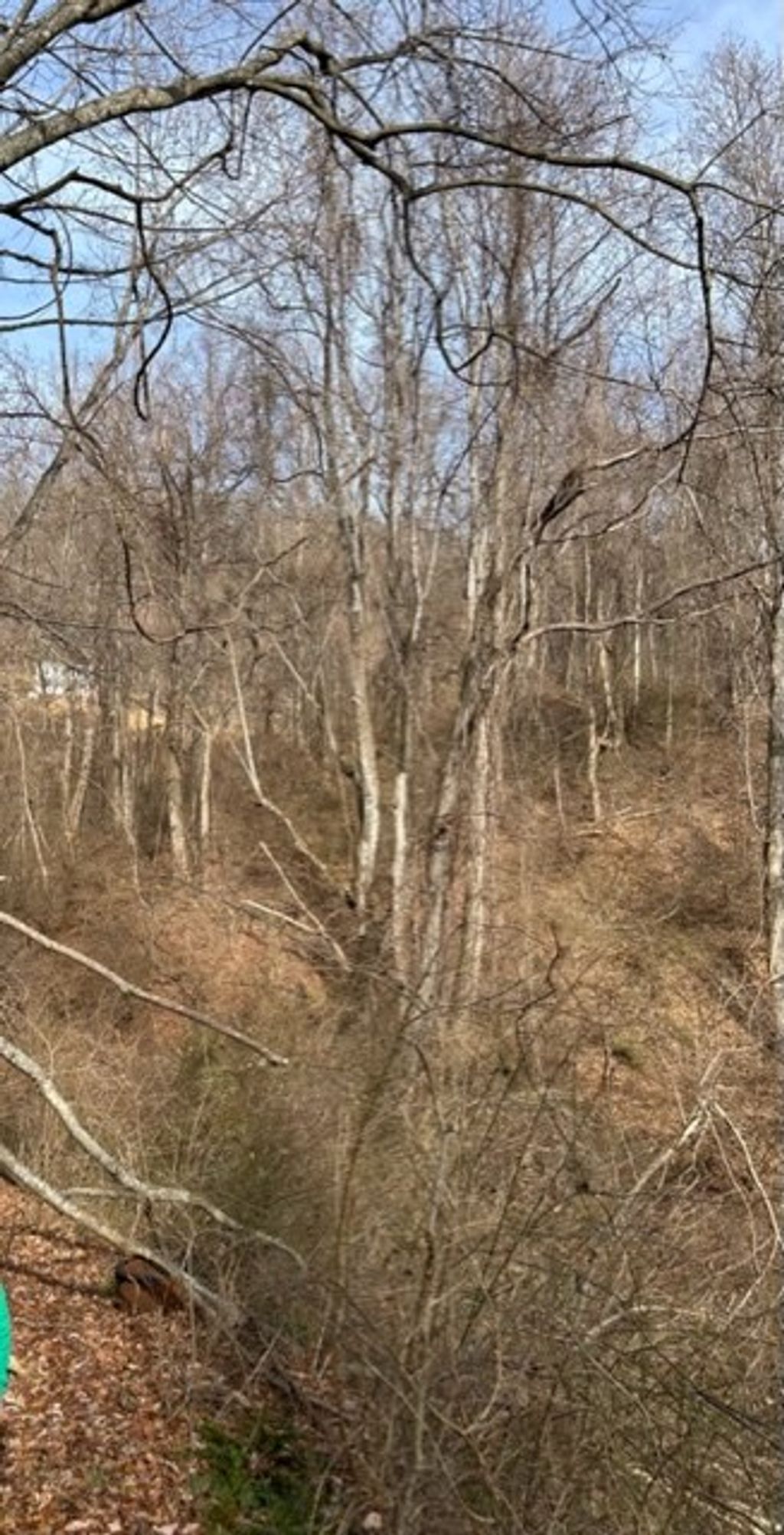 Photo of TBD Orchard Gap Rd #36-39, Fancy Gap, VA 24328 (MLS # 97769)