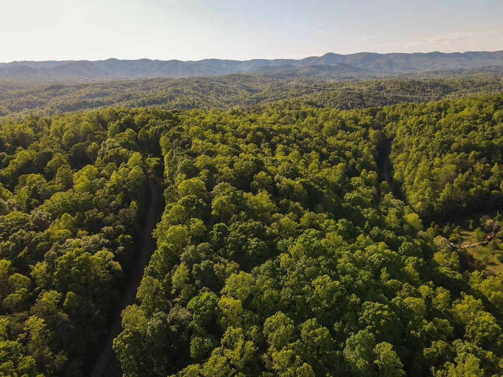 Photo of 00 Turkey Ridge Drive #30, Ferrum, VA 24088 (MLS # 110097)
