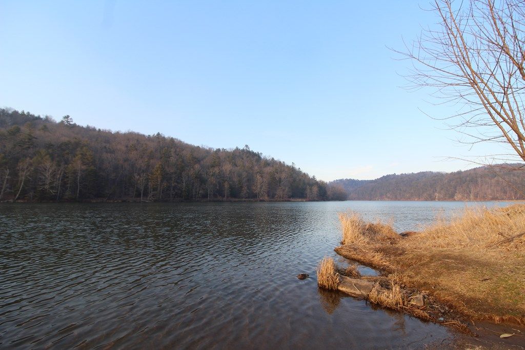 Photo of 1449 Sherwood Road #61-A-4, Galax, VA 24333 (MLS # 99280)