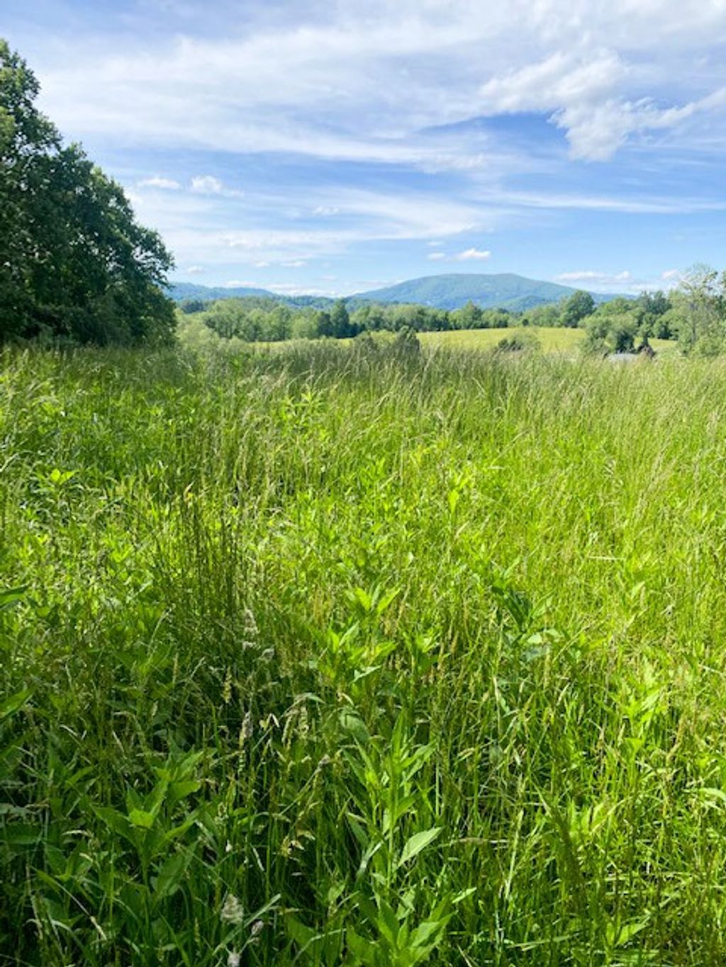 Photo of TBD Cornerstone Road #5, Independence, VA 24348 (MLS # 104305)