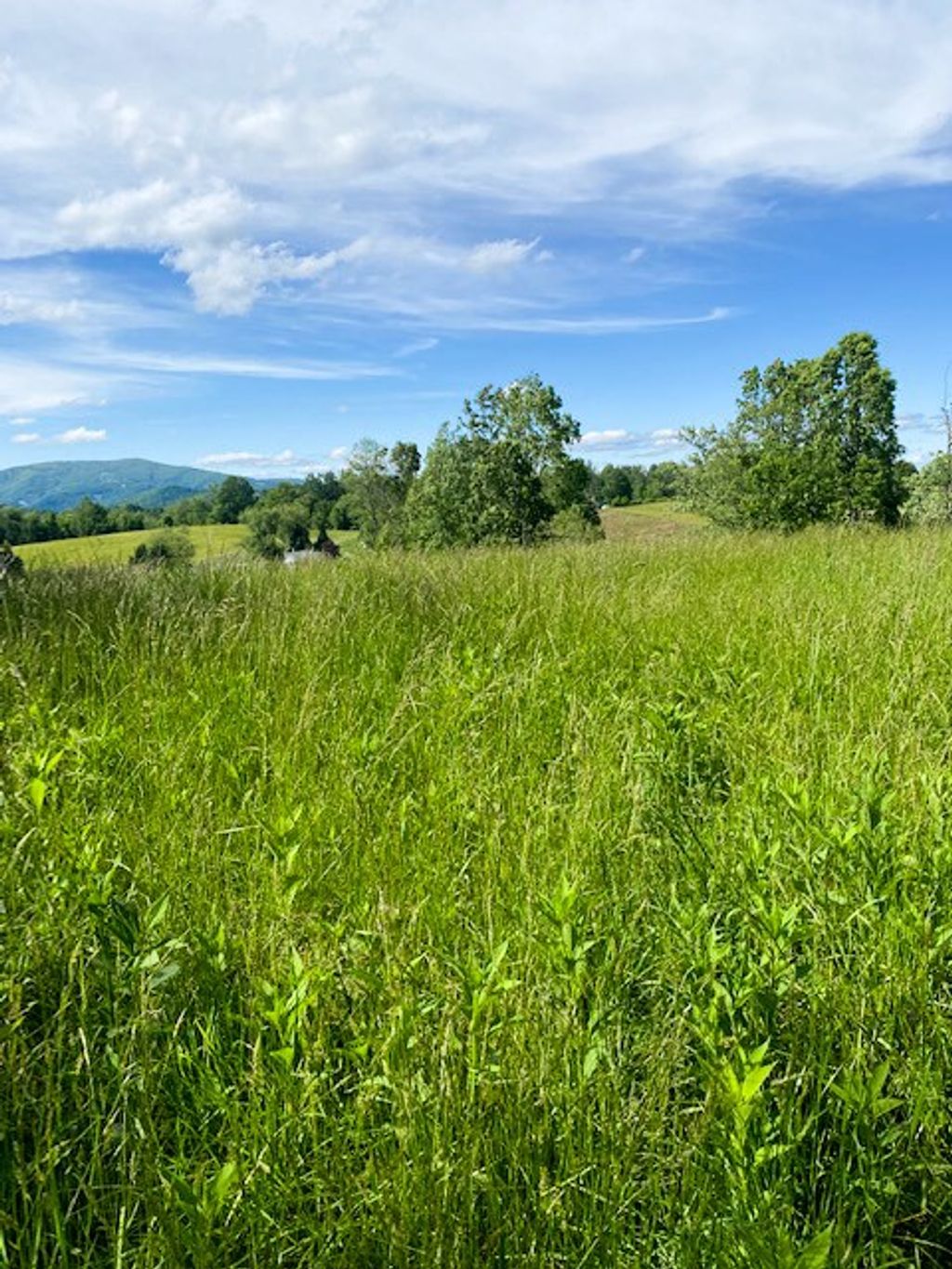 Photo of TBD Cornerstone Road #5, Independence, VA 24348 (MLS # 104305)