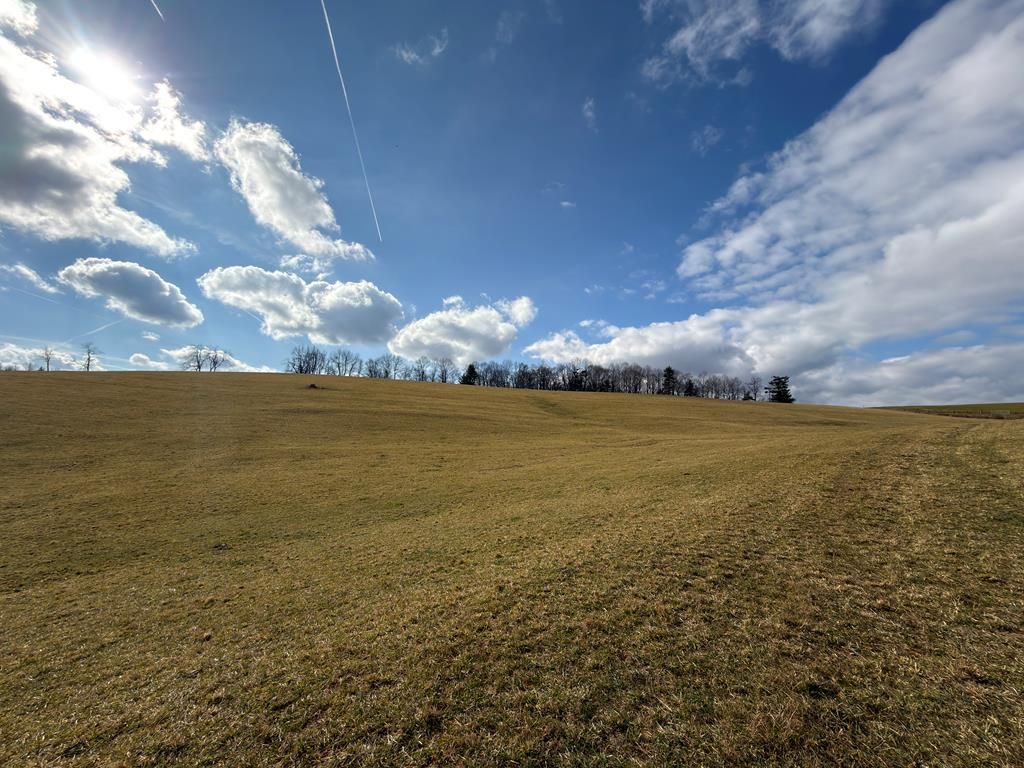 Photo of TBD Chantilly Drive #N/A, Fancy Gap, VA 24328 (MLS # 104182)