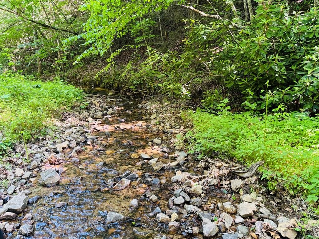 Photo of TBD Pleasant View Road #72, Austinville, VA 24312 (MLS # 110458)