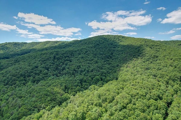 ADDRESS PRIVATE, AUSTINVILLE, VA 24312 - Image 6dfa3ba2cf5b94aa14480ae113cd4d1e/3782921992