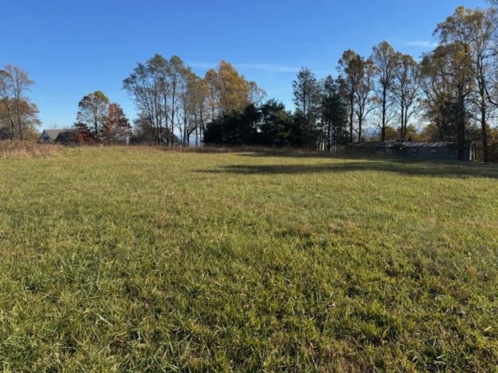 Photo of TBD Rhododendron Rd #4011 2 54 BC, Hillsville, VA 24343 (MLS # 104003)