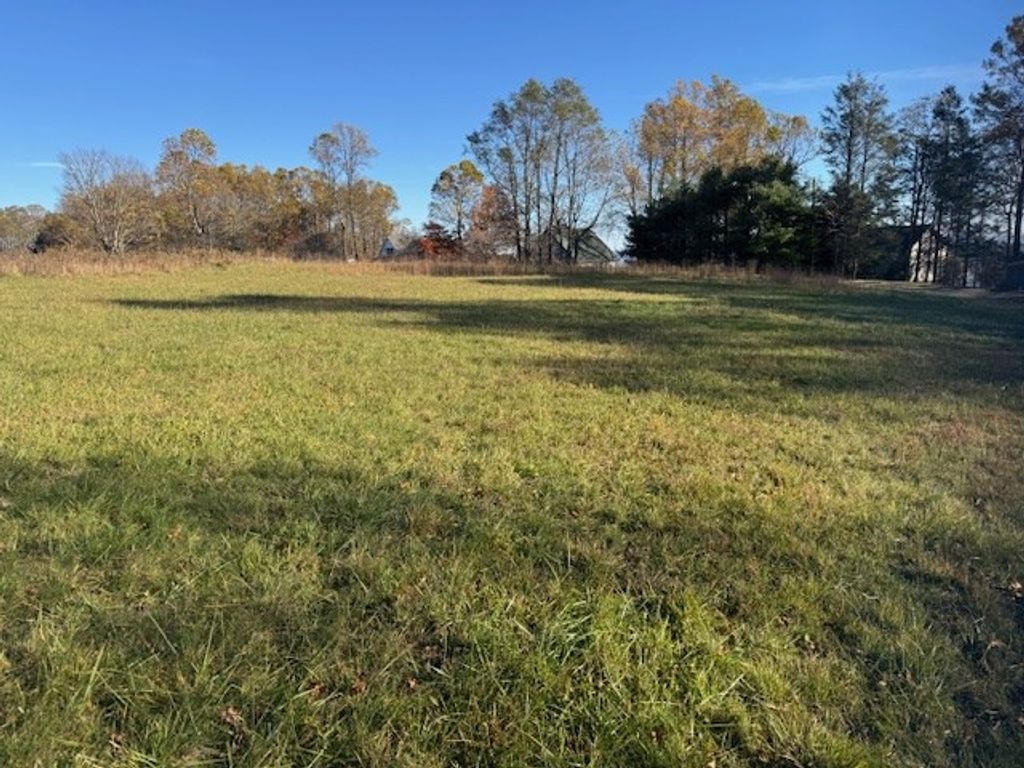 Photo of TBD Rhododendron Rd #4011 2 54 BC, Hillsville, VA 24343 (MLS # 104003)