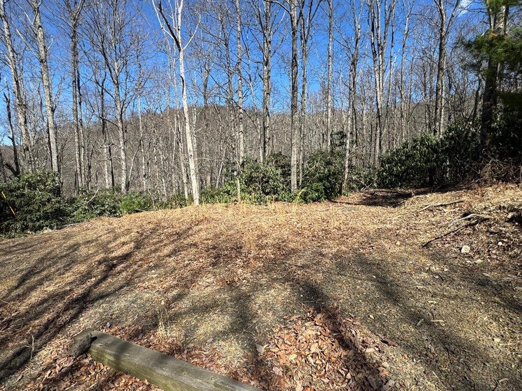 Photo of TBD Powhatan Trail #0, Fancy Gap, VA 24328 (MLS # 109095)