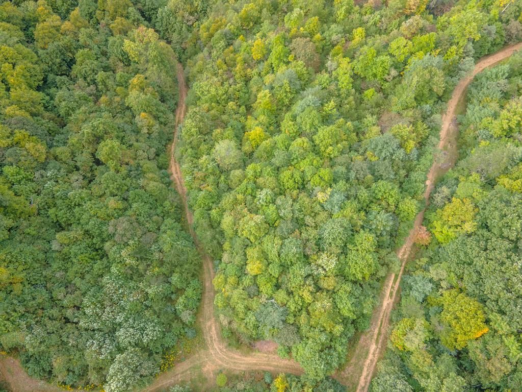 Photo of 21 Starry Nights Dr #21, Fancy Gap, VA 24328 (MLS # 103833)