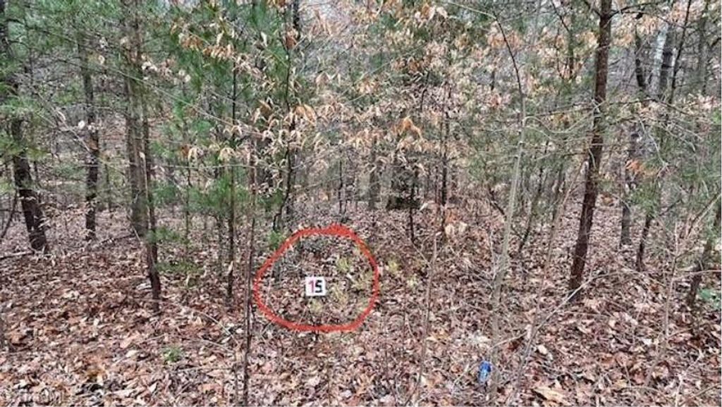 Photo of 15 Woods Haven Lane #15, Stuart, VA 24171 (MLS # 87231)