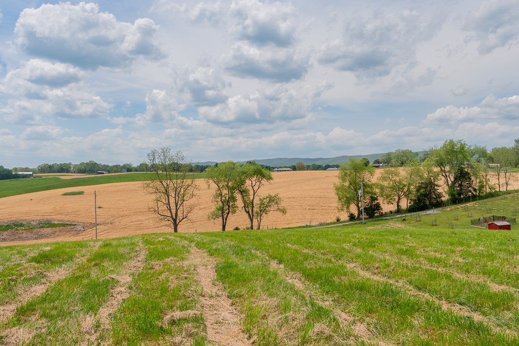 Dublin, Virginia 24084, United States, ,Land,Active,123115