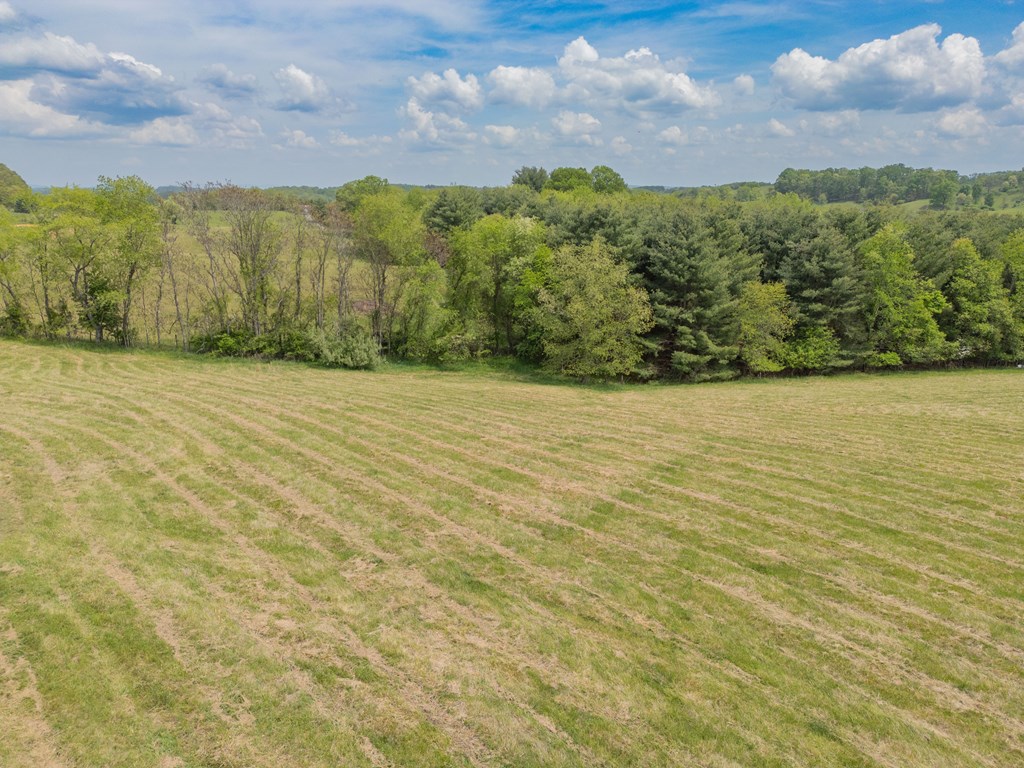 Dublin, Virginia 24084, United States, ,Land,Active,123115