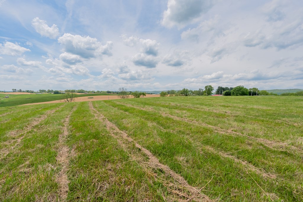 Dublin, Virginia 24084, United States, ,Land,Active,123115