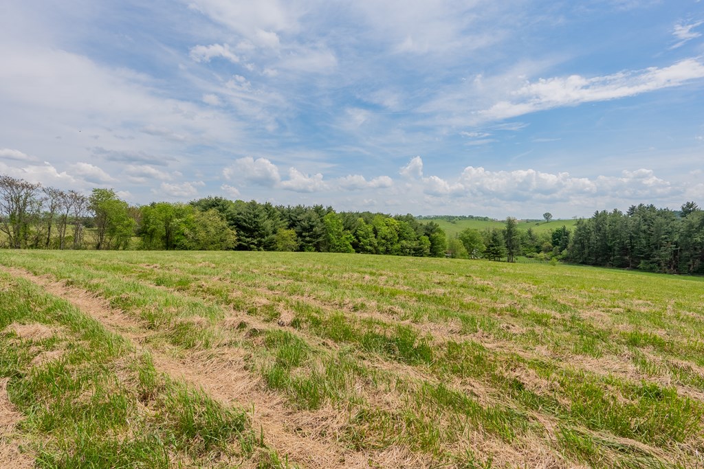 Dublin, Virginia 24084, United States, ,Land,Active,123115