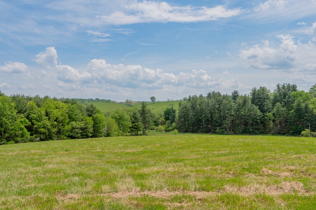Dublin, Virginia 24084, United States, ,Land,Active,123115