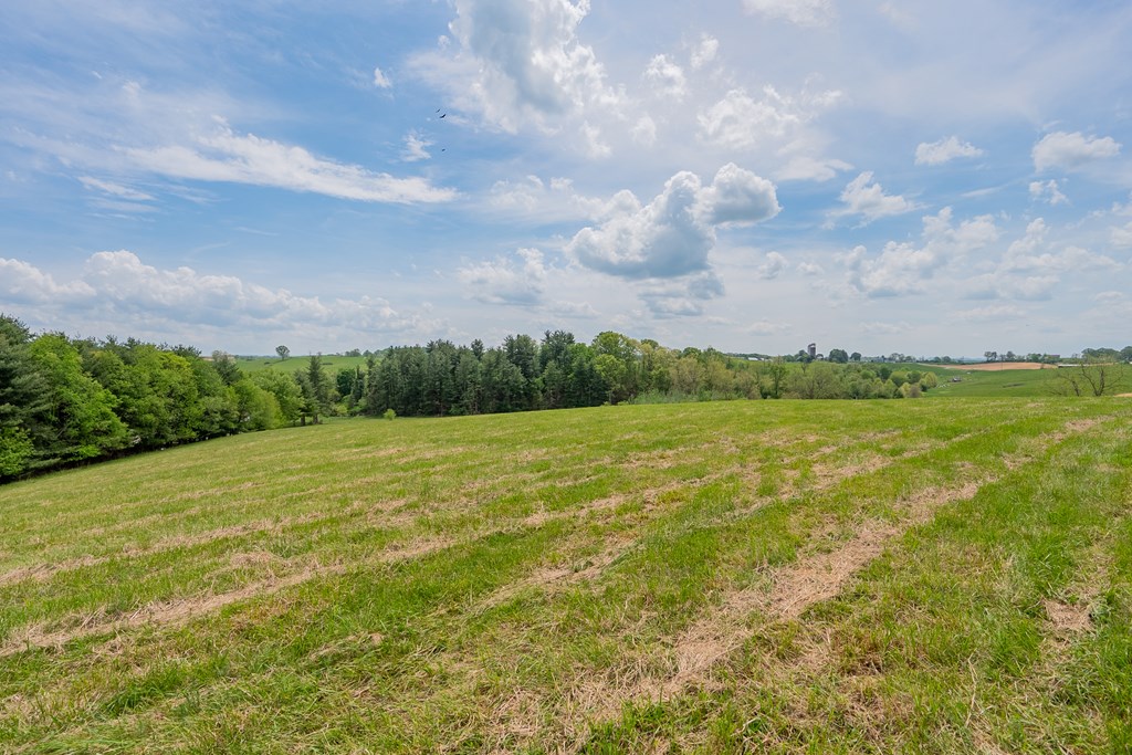 Dublin, Virginia 24084, United States, ,Land,Active,123115