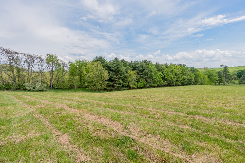 Dublin, Virginia 24084, United States, ,Land,Active,123115