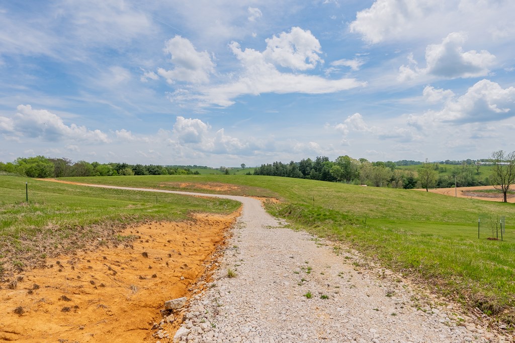 Dublin, Virginia 24084, United States, ,Land,Active,123115