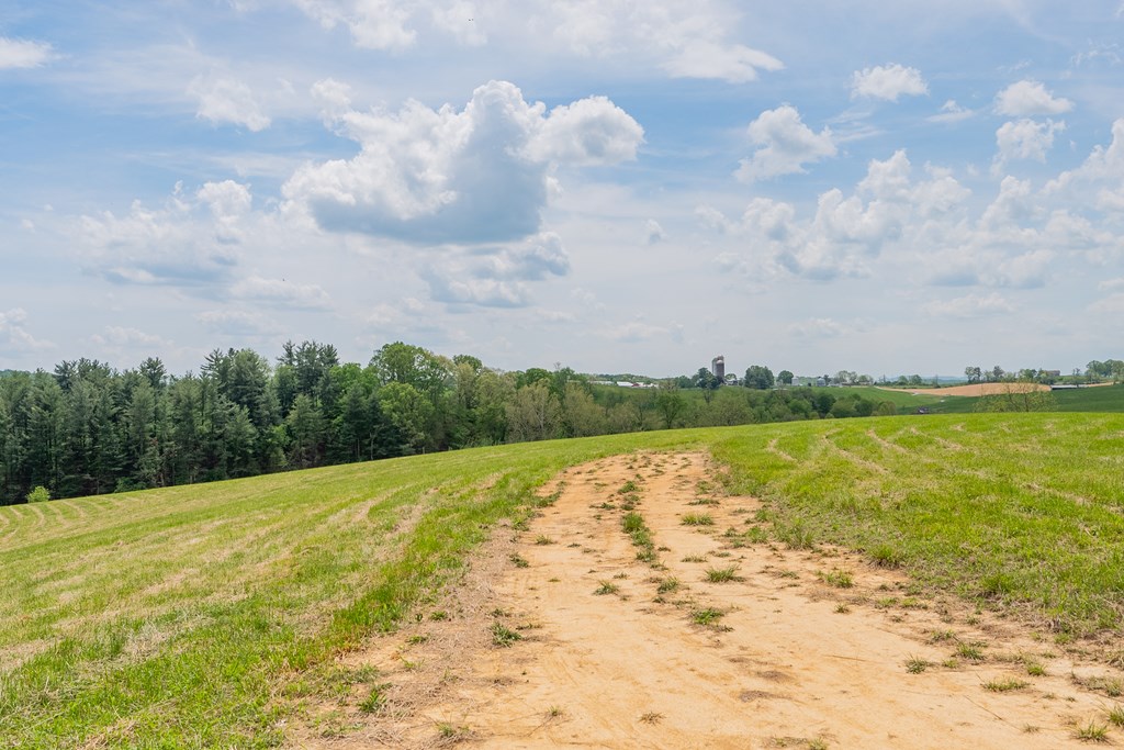 Dublin, Virginia 24084, United States, ,Land,Active,123115