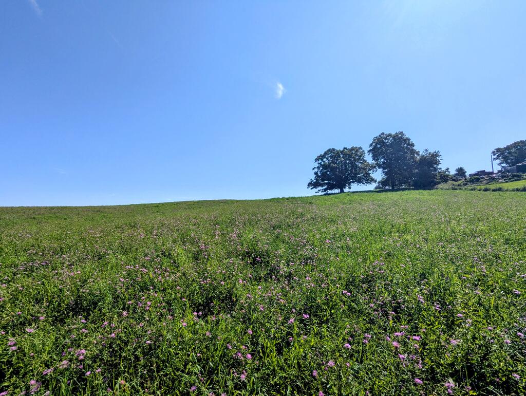 Photo of 1 Floyd Hwy N HWY, Floyd, VA 24091 (MLS # 111717)