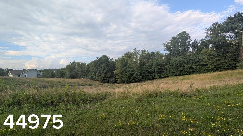Photo of TBD Village Loop #17, Abingdon, VA 24210 (MLS # 111003)