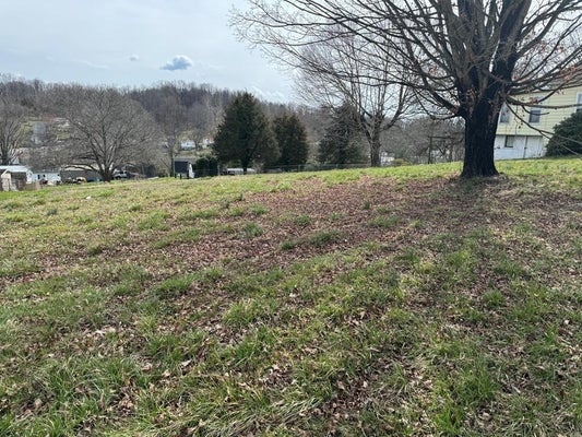 8TH ST NW, COEBURN, VA 24230 - Image 6fe7dcad0a12e324773fe6daee9963e6/4288247384