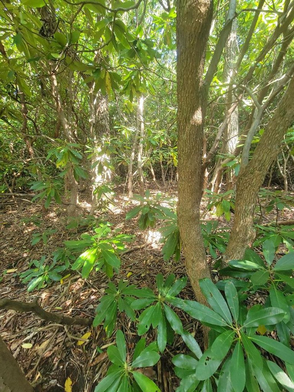 Photo of tbd Edgeview Dr #21, Meadows of Dan, VA 24120 (MLS # 103117)