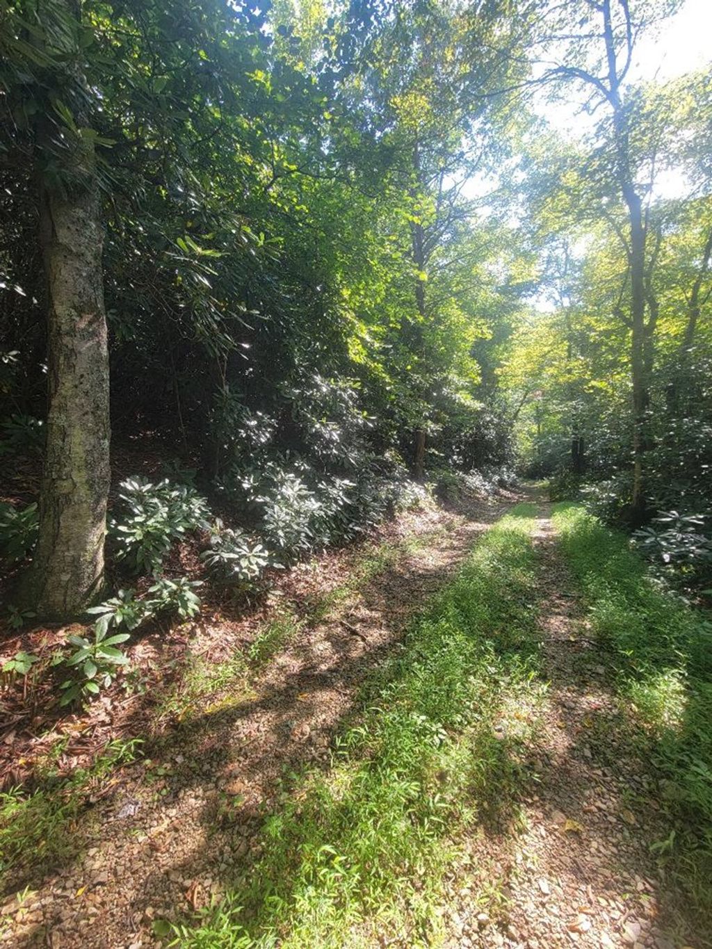 Photo of tbd Edgeview Dr #21, Meadows of Dan, VA 24120 (MLS # 103117)
