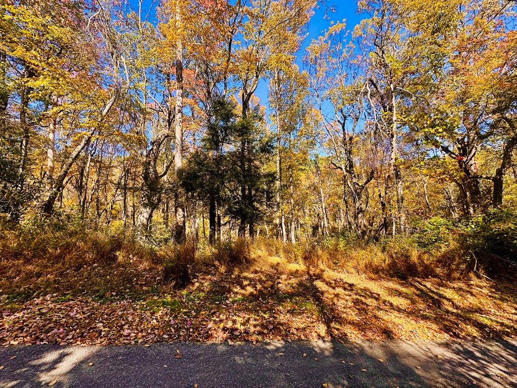 Photo of 4 Windermere Way #4, Fancy Gap, VA 24328 (MLS # 103815)