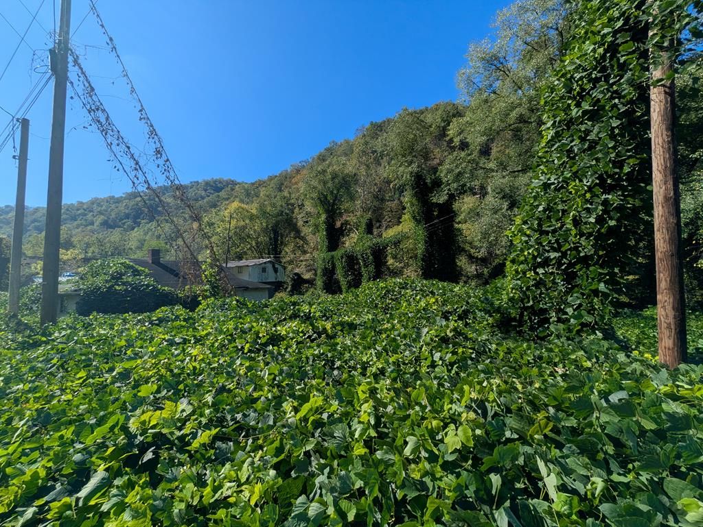 Photo of TBD Riverside Dr #6, Grundy, VA 24614 (MLS # 104059)