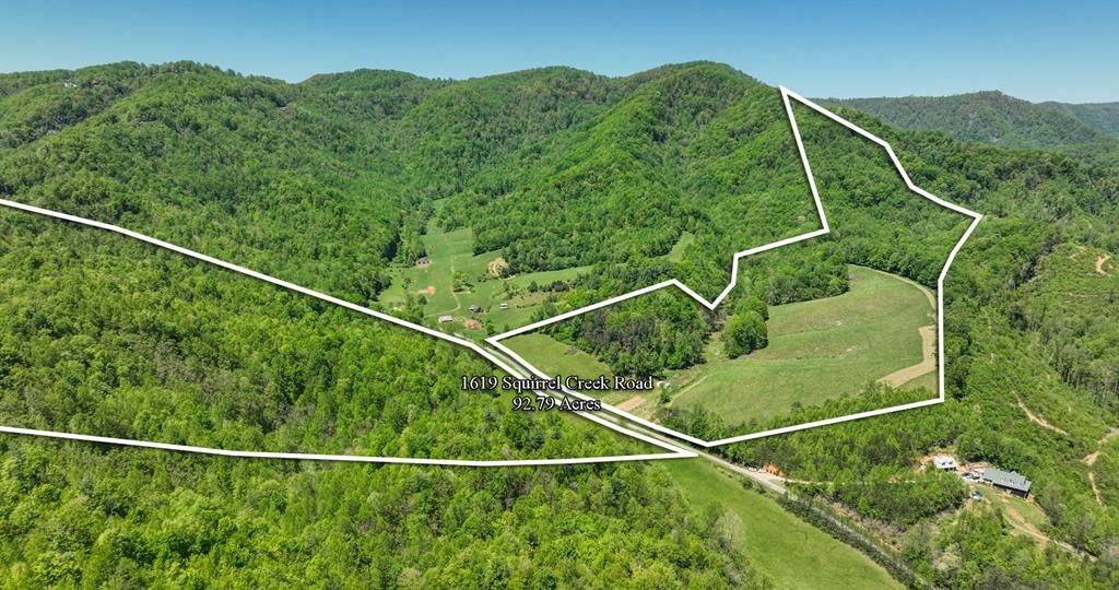 Photo of 1619 Squirrel Creek Rd #86, Ararat, VA 24053 (MLS # 99630)