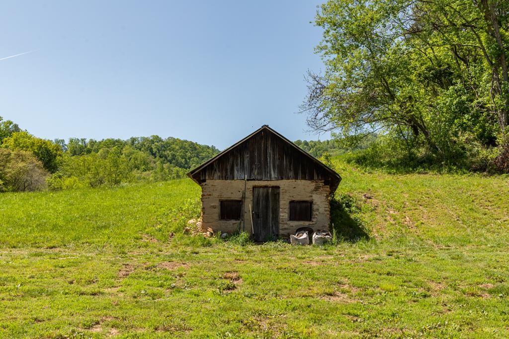 Photo of 1619 Squirrel Creek Rd #86, Ararat, VA 24053 (MLS # 99630)