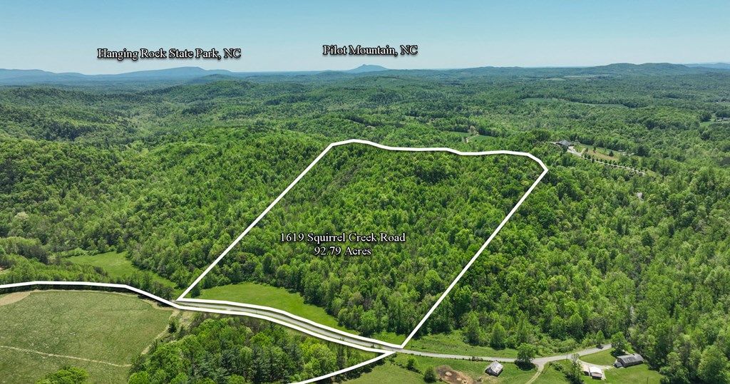 Photo of 1619 Squirrel Creek Rd #86, Ararat, VA 24053 (MLS # 99630)