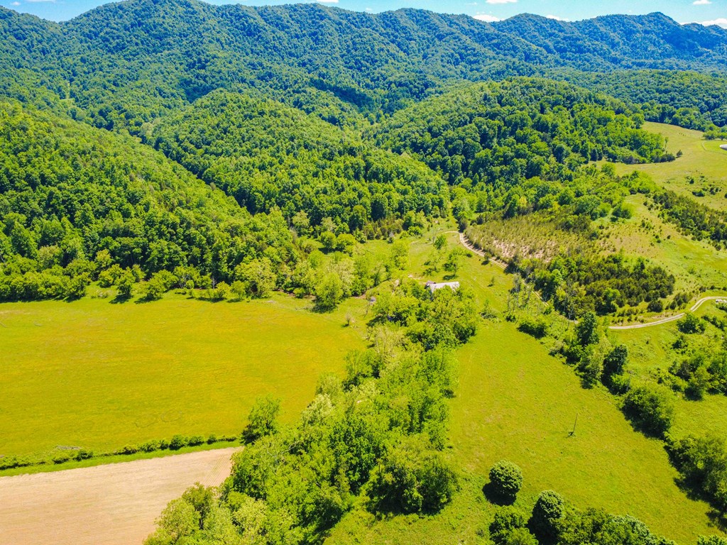 TBD TBD Clinch Mountain Road