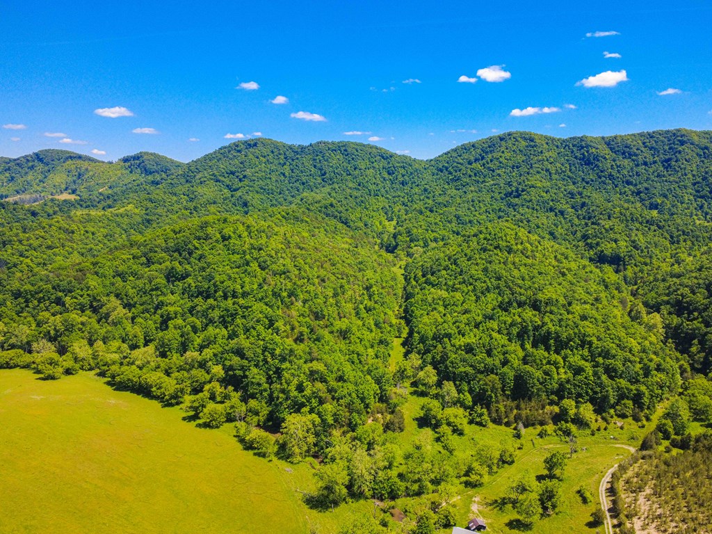 TBD TBD Clinch Mountain Road
