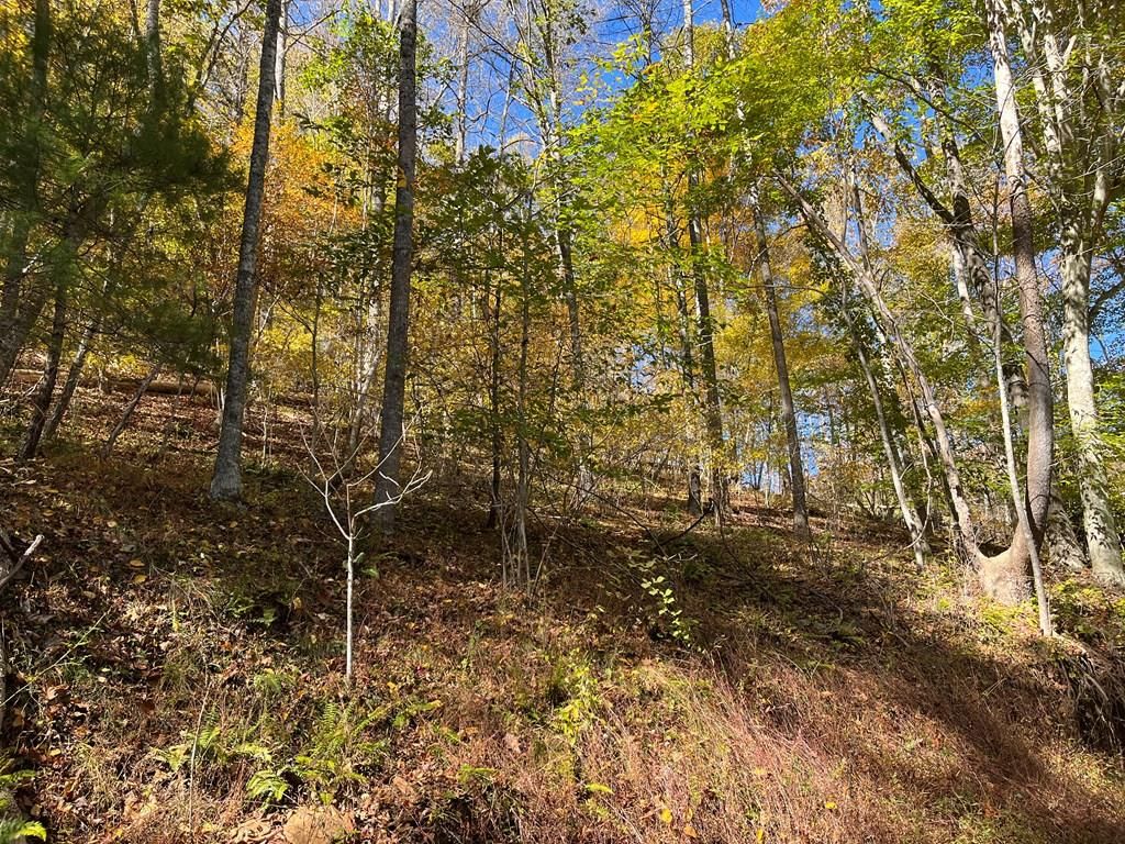 Photo of Tbd Grayson Parkway #76-A-34, Galax, VA 24333 (MLS # 91634)