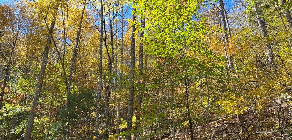 Photo of Tbd Grayson Parkway #76-A-34, Galax, VA 24333 (MLS # 91634)