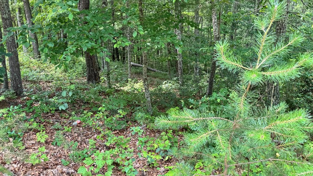 Photo of 48 Honey Maple Trail #48, Austinville, VA 24312 (MLS # 100798)
