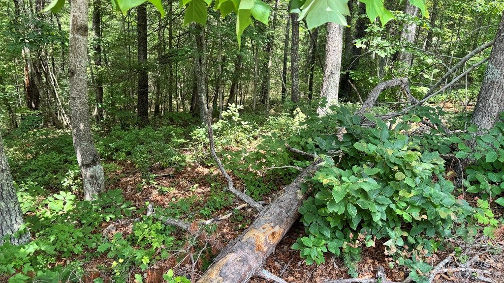 Photo of 48 Honey Maple Trail #48, Austinville, VA 24312 (MLS # 100798)