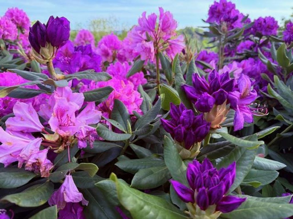 Photo of 2593 Lime Kiln Rd, Fries, VA 24330 (MLS # 109506)