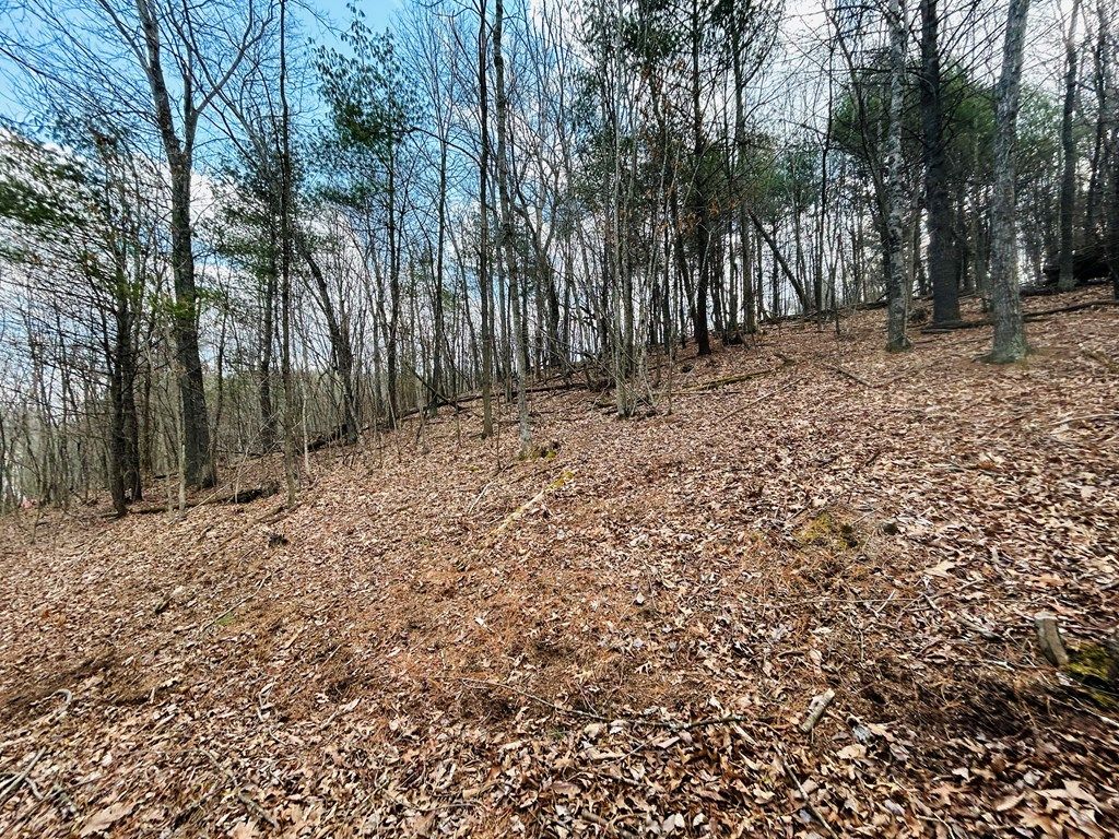 Photo of TBD Wilkins Ln #50D, Wytheville, VA 24382 (MLS # 109201)