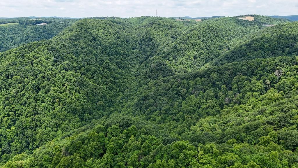 Photo of 0 Jeb Stuart Hwy #n/a, Meadows of Dan, VA 24120 (MLS # 98194)